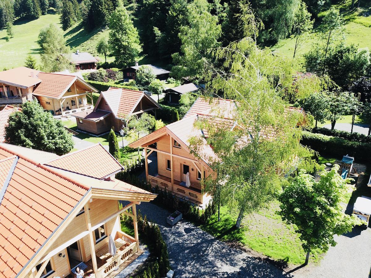 Mountain Inn Chalets & Apartments Walchsee Dış mekan fotoğraf